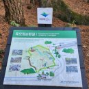 약천 산책로 이미지