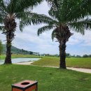 다이아몬드골프연습장 이미지