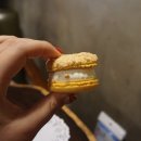 애플크럽 이미지