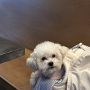 휴식당 이미지