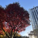 신라스테이서대문 이미지