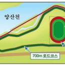 인라인장 이미지