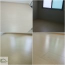 코지팰리스 이미지