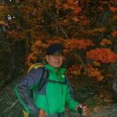 용진 이미지