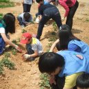 무봉농장 이미지