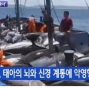 자유참치 - 서구 문정로150번길 12 | 자유참치