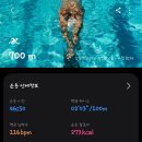머니풀
