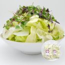 샐러드로