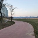 대지를 바라보며 이미지