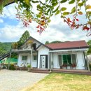 숲속개울가 이미지