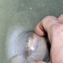 갯바위펜션 | 태안 가족여행, '더 담은펜션'에서 공짜로 즐기는 꿀팁 3가지 (갯바위 낚시 포인트)