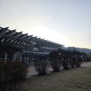 우리U펜션 | 경주 버드파크, 주렁주렁, 국립경주박물관, 후연지한옥펜션, 황리단길 / 경주 여행 (26.03.18~26.03.19)