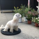 모모마트 이미지