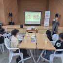 솔로몬교육