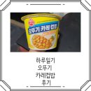오뚜기 카레컵밥 후기