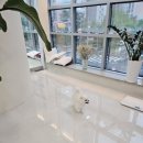 플러스 애견미용실 이미지