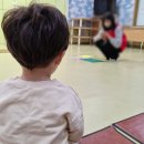 [문화센터 원어민 영어수업] 피카부 잉글리시 : 1회~2회차 수업 일지, 교구 안내 (30개월부터 수강 가능)