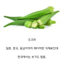 아시아채소