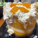 [대전] 성심당 본점 멜론1통케익 평일 오픈런 성공 &amp; 솔직 후기 | 망고 크레페가 더 맛있다