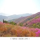 「여수 영취산 흥국사 일원」 명승 지정 예고 - 진달래 군락과 어우러진 우수한 경관과 호국불교 정신 깃든 흥국사 등이 조화 이루는 자 이미지