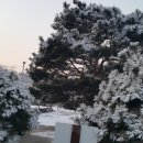 은대리쉼나루