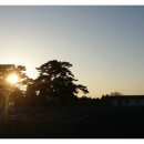 아띠목장 이미지