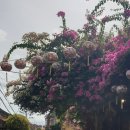 상화마을회관 이미지