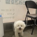 그루밍솔루션 구로점 이미지