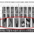 닥터드라이 이미지