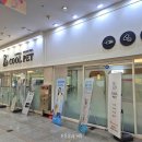 쿨펫동물병원(탄방점) 이미지