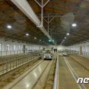 새 하나농장 이미지