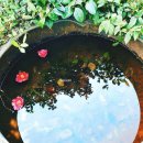 악양농협주유소 이미지