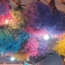 유스타게임랜드 이미지