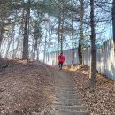 (주)창진산장휴게소 | 경기도 안성 고성산 산행 후기, 반려견 동반가능 초보자 등산추천