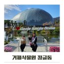 진틀목장 | 거제 식물원 정글돔 아이와 가볼만한곳