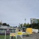 888 | 수원 애견놀이터 888 애견놀이터 방문 후기