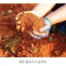 광식농장 이미지