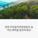 양양 미천골자연휴양림, 숲속의집과 데크 완벽 가이드