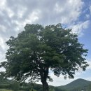 청룡사지길 이미지