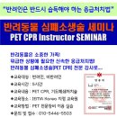 b.b.pet 이미지