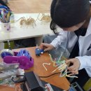 함평천지생태농장 이미지