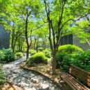 양덕동206 이미지