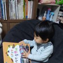 멍멍타요 이미지