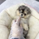 인헌동-30 이미지