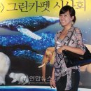 그린카펫 이미지