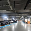 이치류 | 마곡 양갈비 맛집, 마곡 회식까지 좋은 이치류 솔직 후기