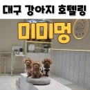 일보시개 24시 애견호텔&애견유치원 | 대구 강아지 애견호텔링 24시간 비용 여름휴가 기간 편하게 맡길 수 있는 곳