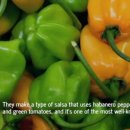 아리랑푸드 이미지