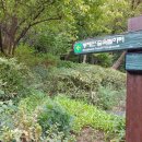 봉제산 등촌동 숲속놀이터 이미지