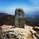 홍국오메가3 직접 먹고 느낀 관리 후기